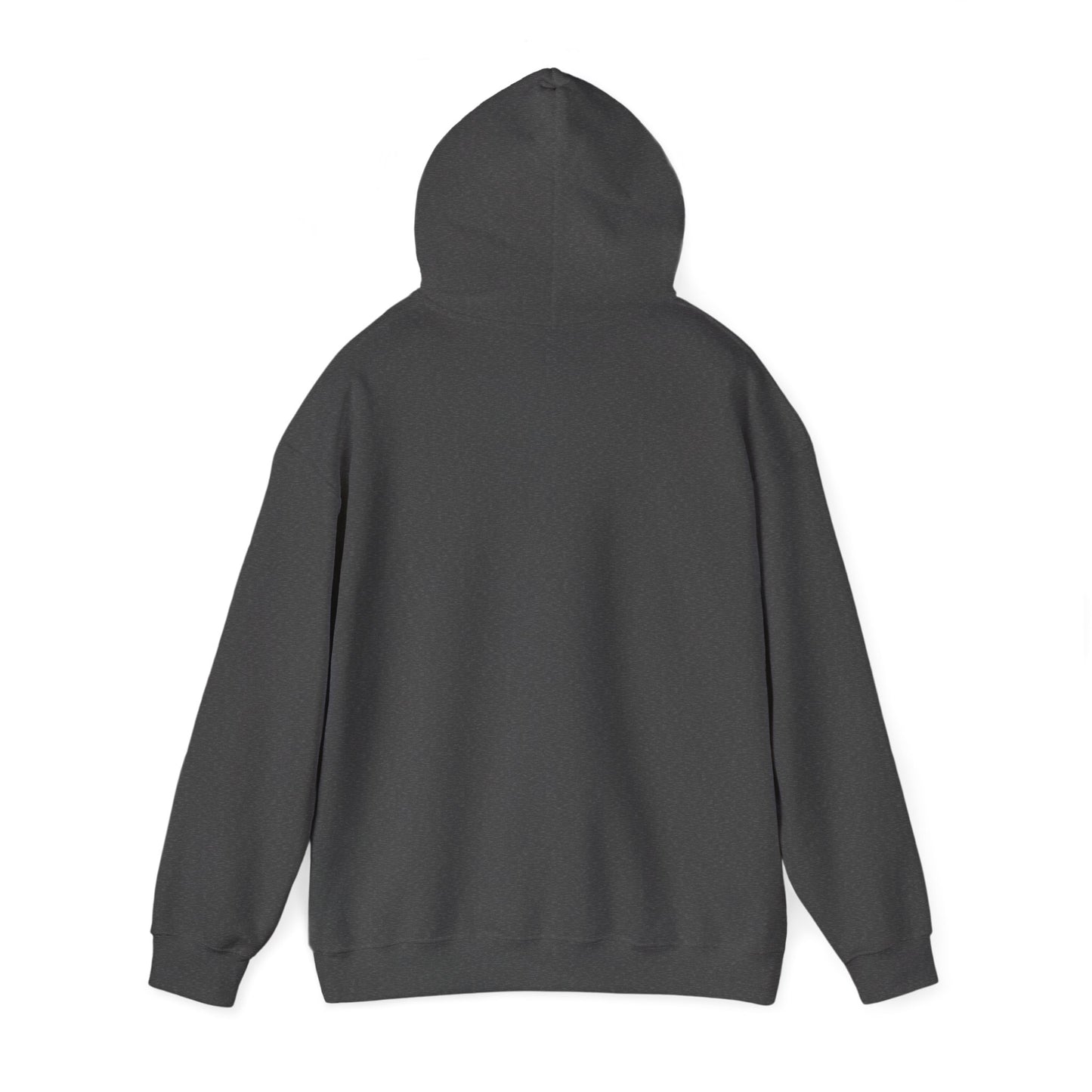 Louder Than Your Mom Hoodie