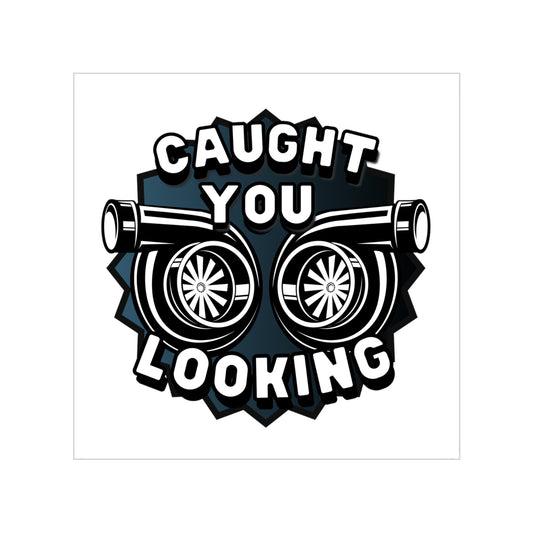 Caught You Looking Transparent Sticker